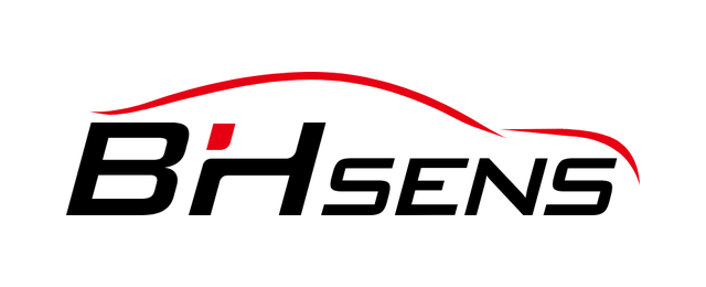 BHSens